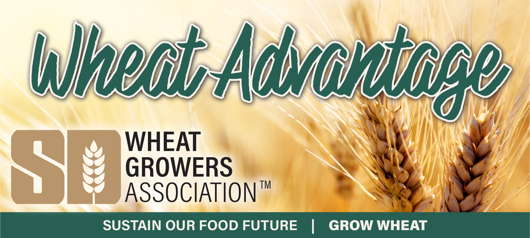Wheat Advantage Newsletter