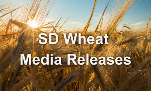 1 South Dakota Wheat Growers Communication