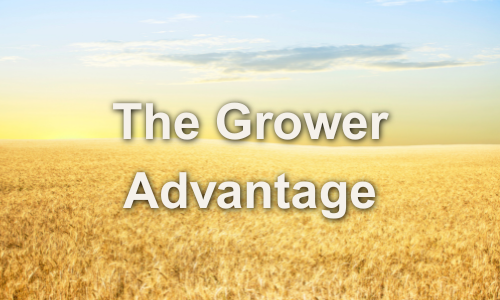 4 South Dakota Wheat Growers Communication